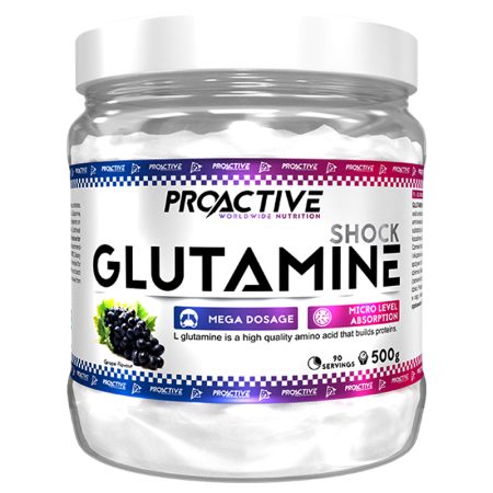 PROACTIVE GLUTAMINE 500G